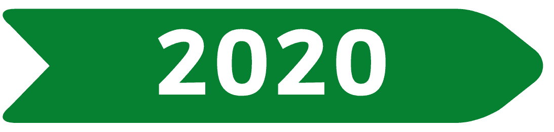 cuadro verde indicando año 2020